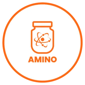 Muscle Vautt Amino Category Image